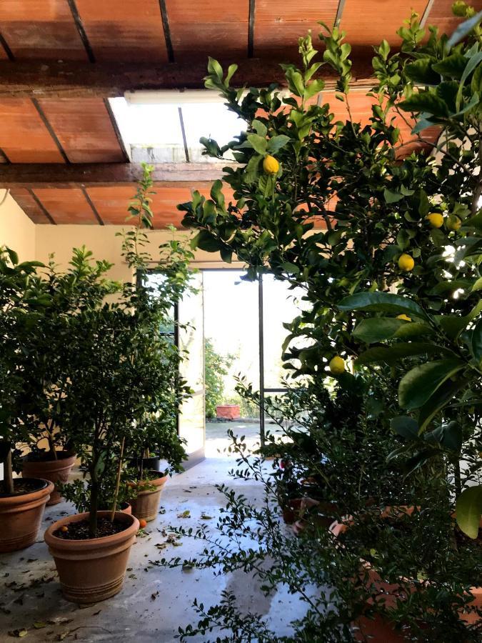 Il Pezzatino Guest House Rufina Exterior photo